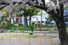 サクラ色のブランコ