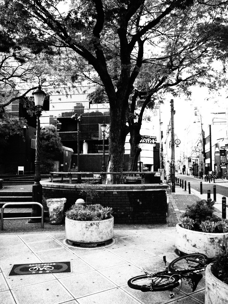 みんなどこへ消えた Ⅲ