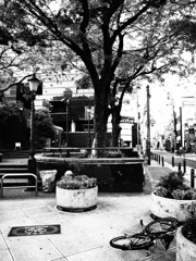 みんなどこへ消えた Ⅲ