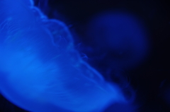 blue 2