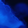 blue 2