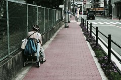 行く春に～野球観戦