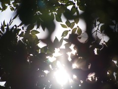 2012 summer 日常風景22