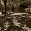 続、何時もの公園にて4