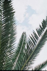 sp8