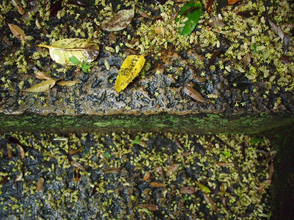 石段
