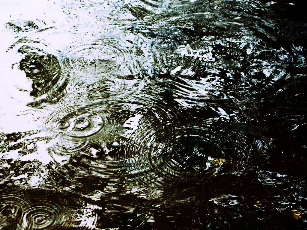 今日の雨