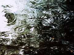 今日の雨