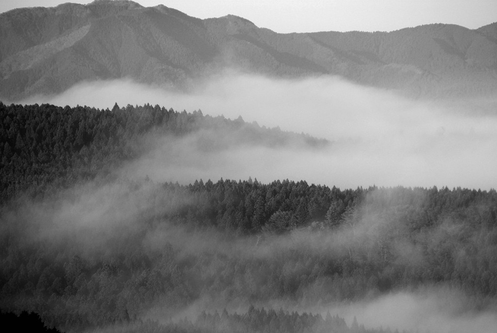 朝靄