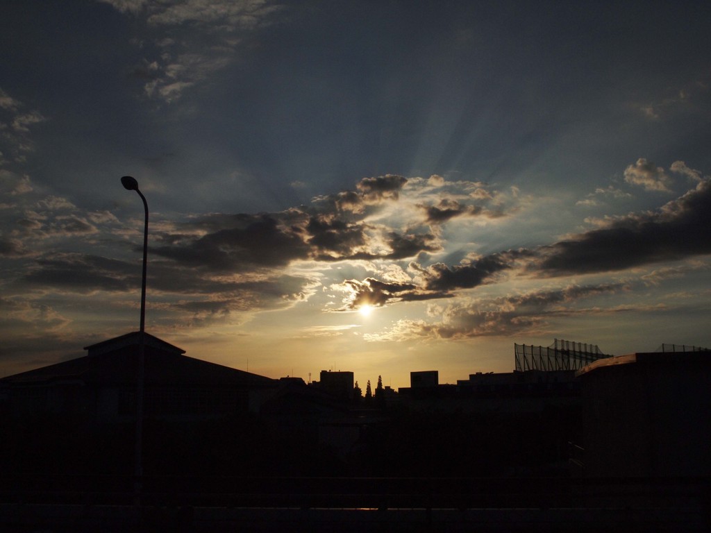 2012 summer 日常風景