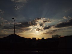 2012 summer 日常風景