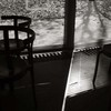 続、何時もの公園にて12