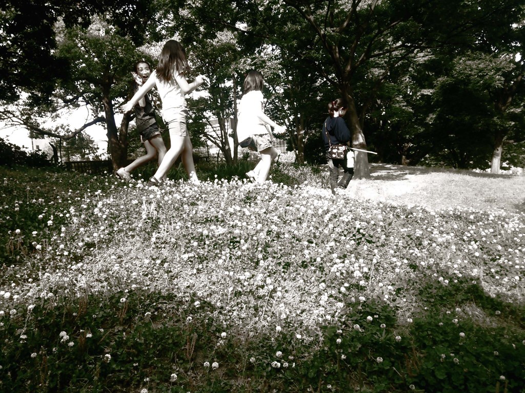 探検の日