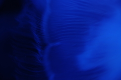 blue 1