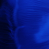blue 1