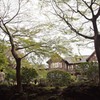 幸せに