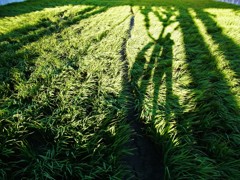 2012 summer 日常風景2