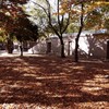 続、何時もの公園にて5