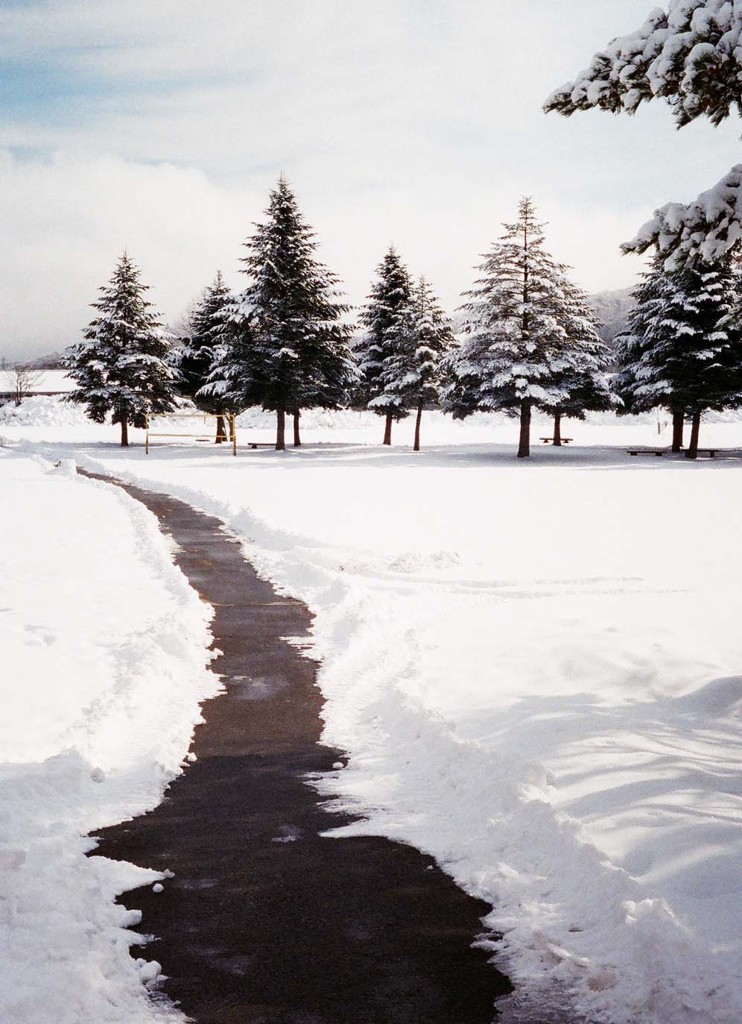 雪の道