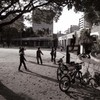 続、何時もの公園にて7