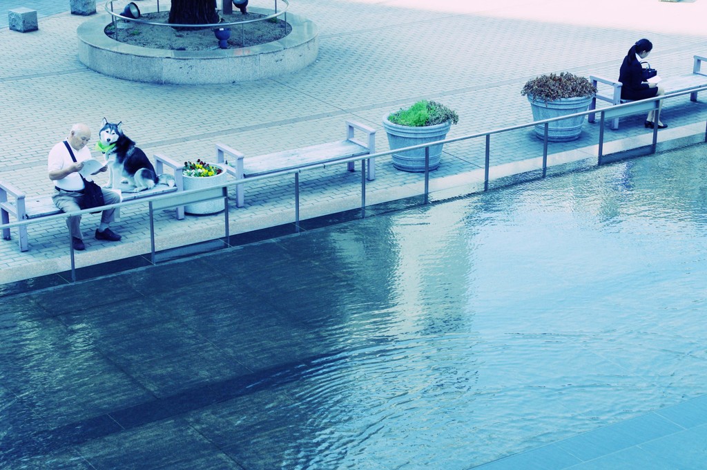 公園の風景～早くいこう～