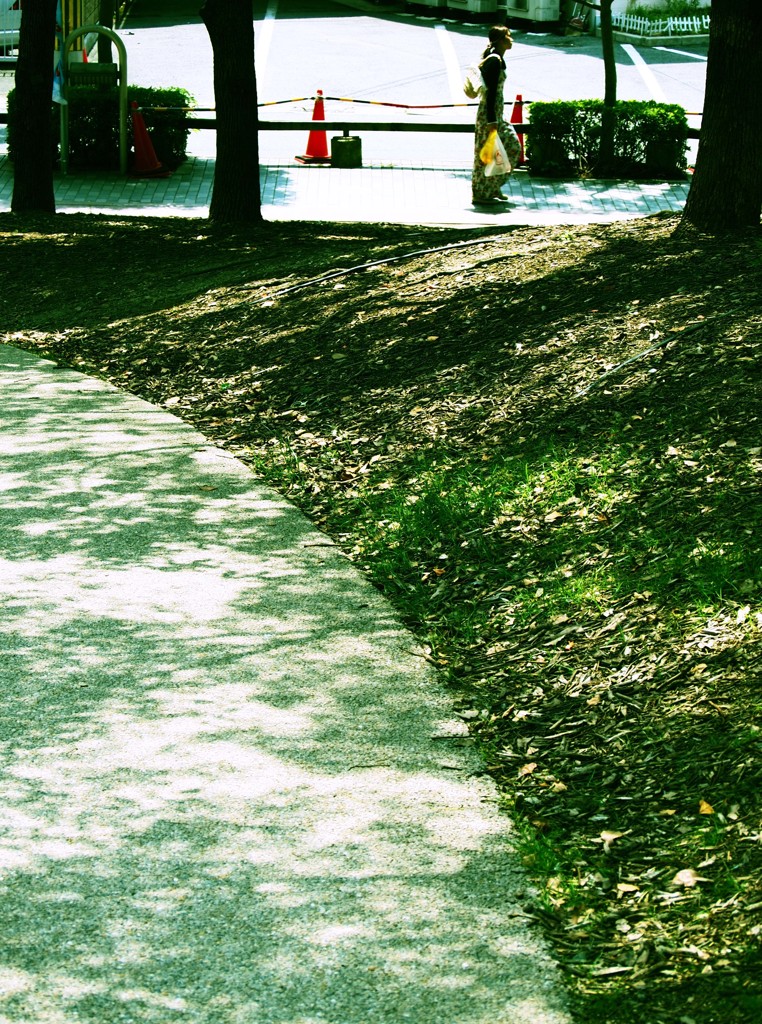 2012 summer Ⅲ