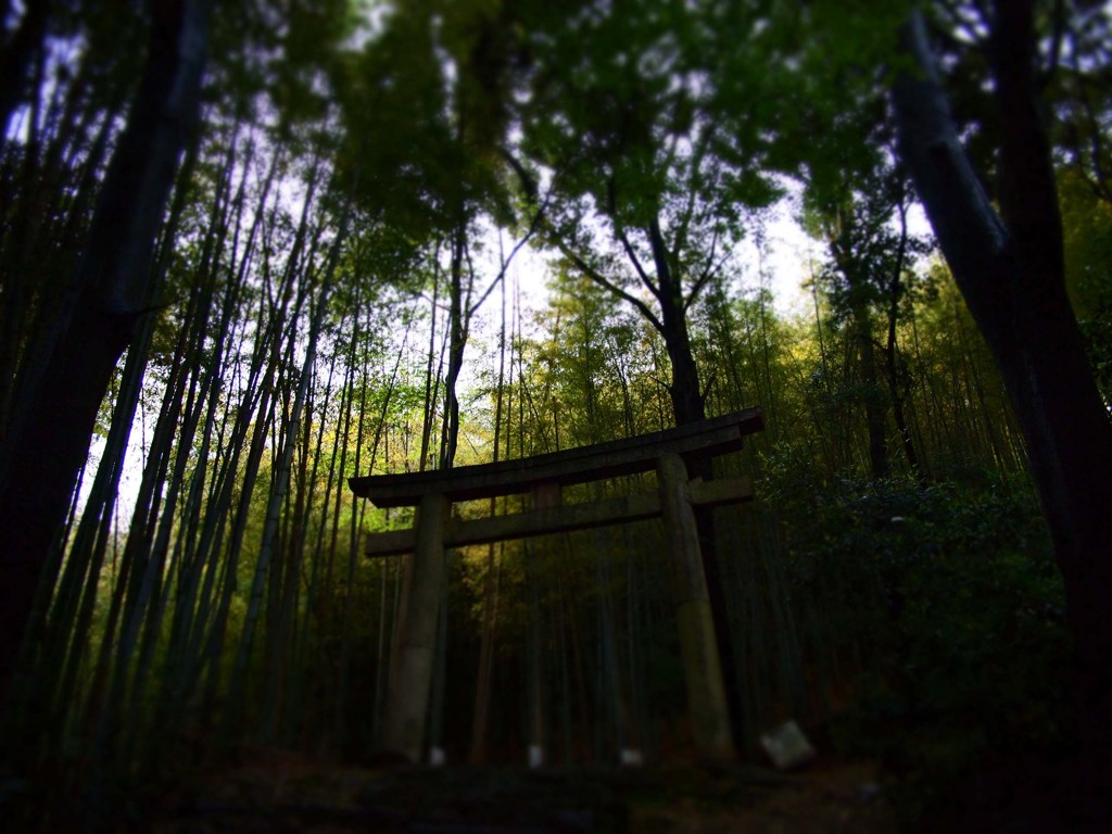 森の鳥居