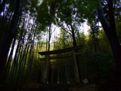 森の鳥居