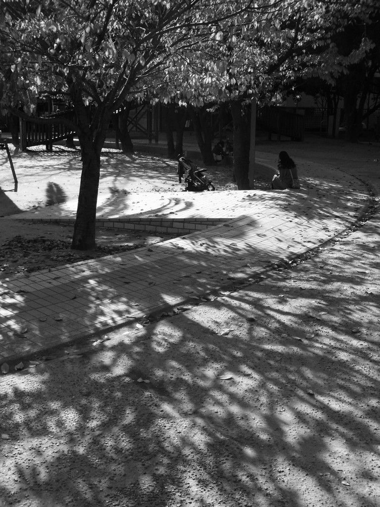 続、何時もの公園にて3