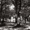 何時もの公園にて