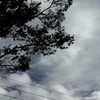 風の強い日