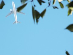 2012 summer 日常風景20