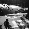 まだ続いていたの？何時もの公園で、13
