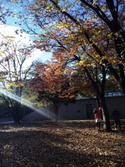 続、何時もの公園にて10