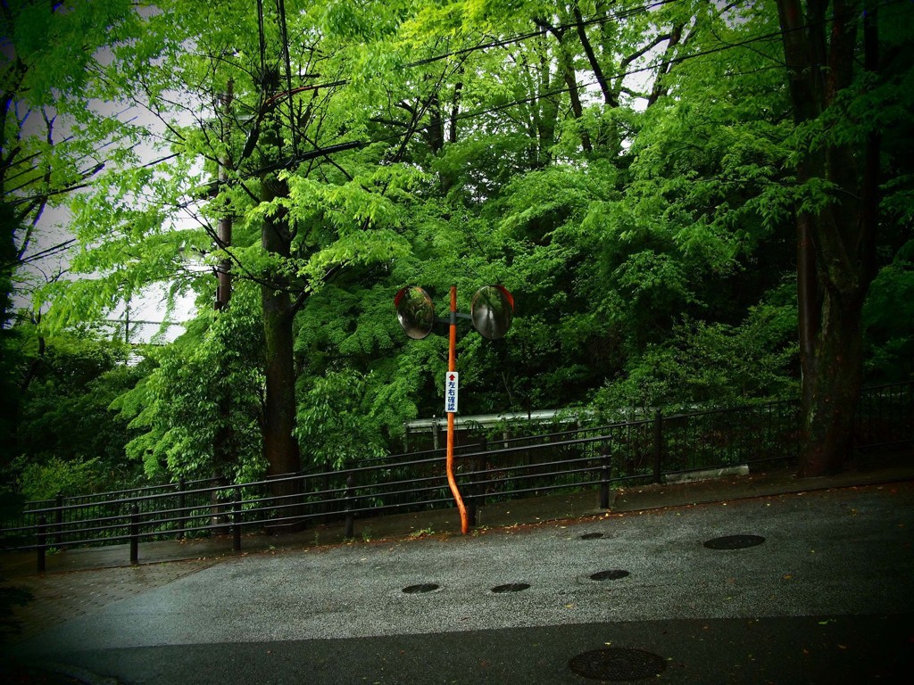いつもそこに、、