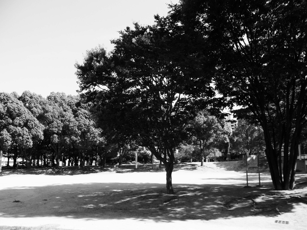 2012 summer 日常風景17