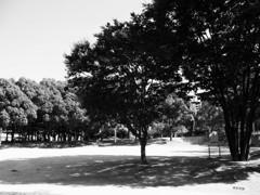 2012 summer 日常風景17
