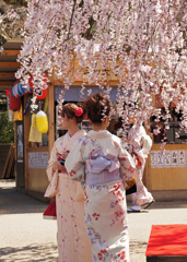 桜花のかんざし