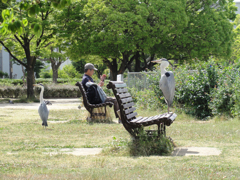 昼下がりの公園