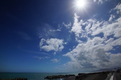 駿河湾の夏