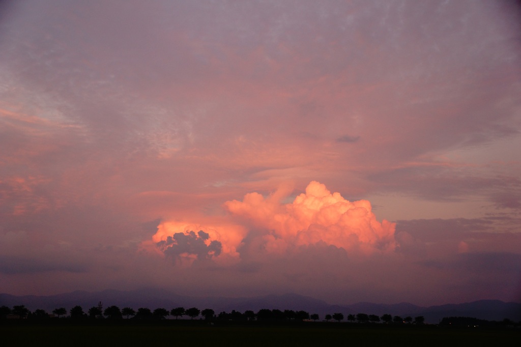 紅雲