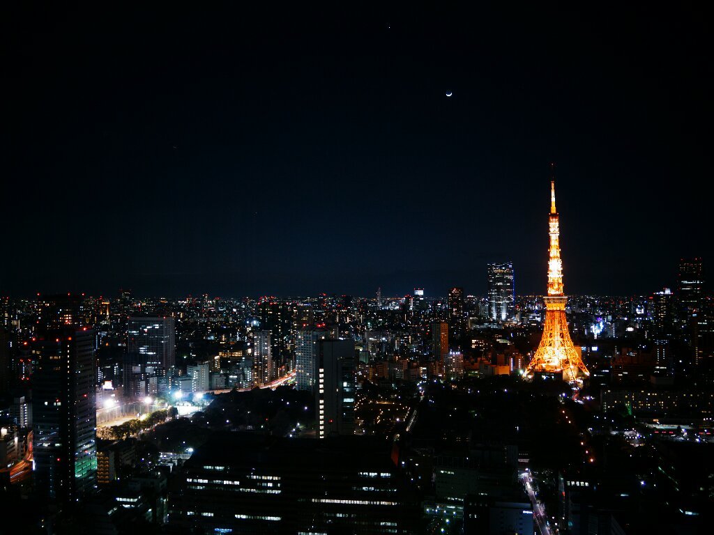 東京を見下ろす月