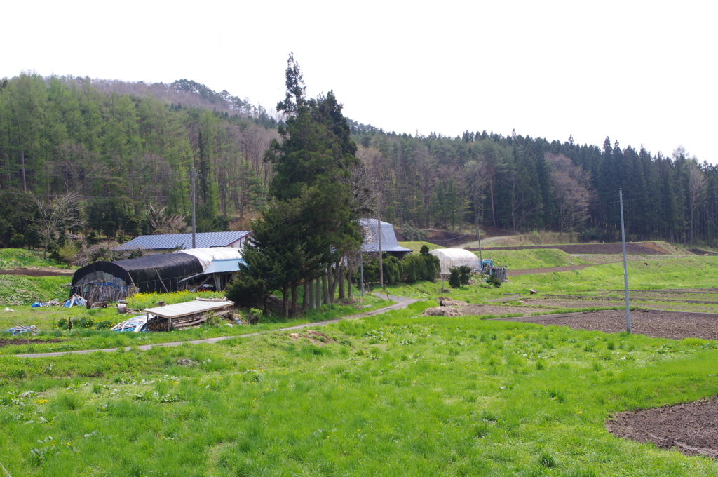 IMGP2688