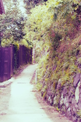 路地裏