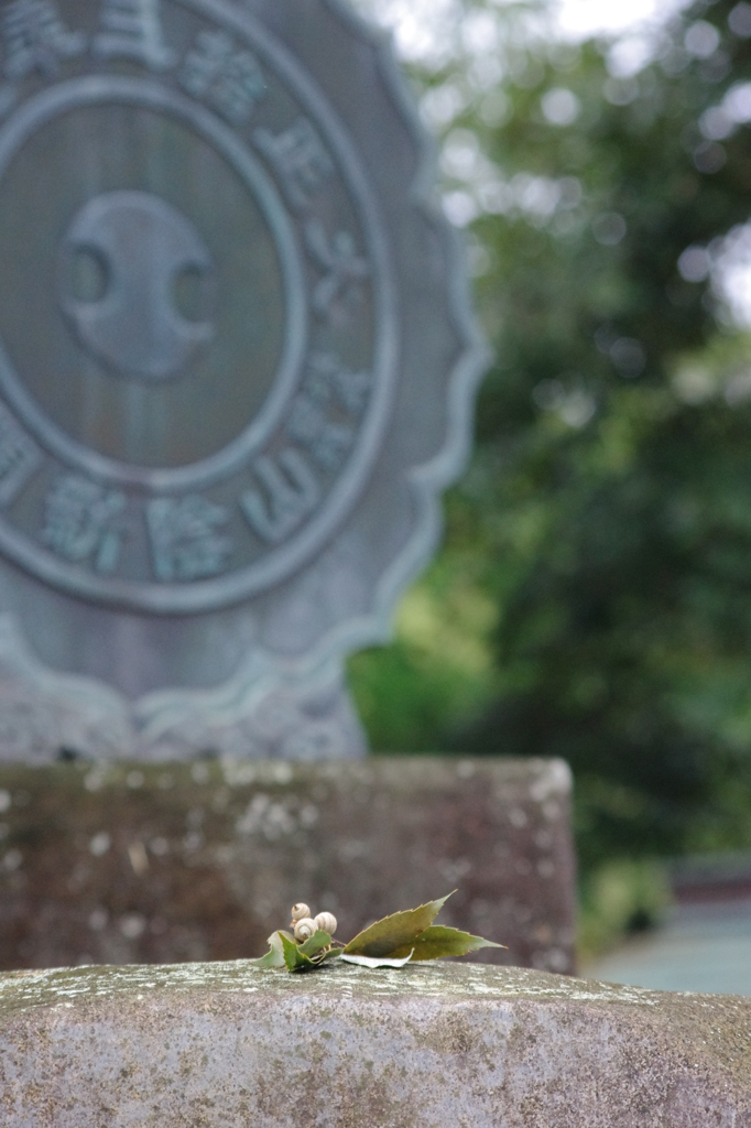 献花　『八重垣神社』