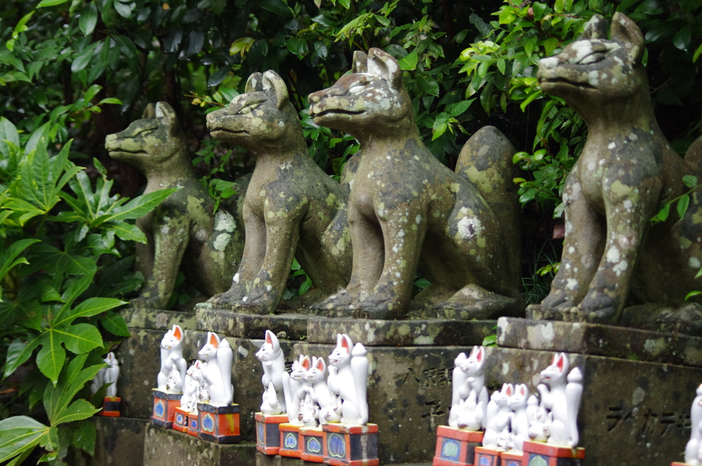 木下闇に居並ぶ　『城山稲荷神社』
