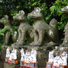木下闇に居並ぶ　『城山稲荷神社』