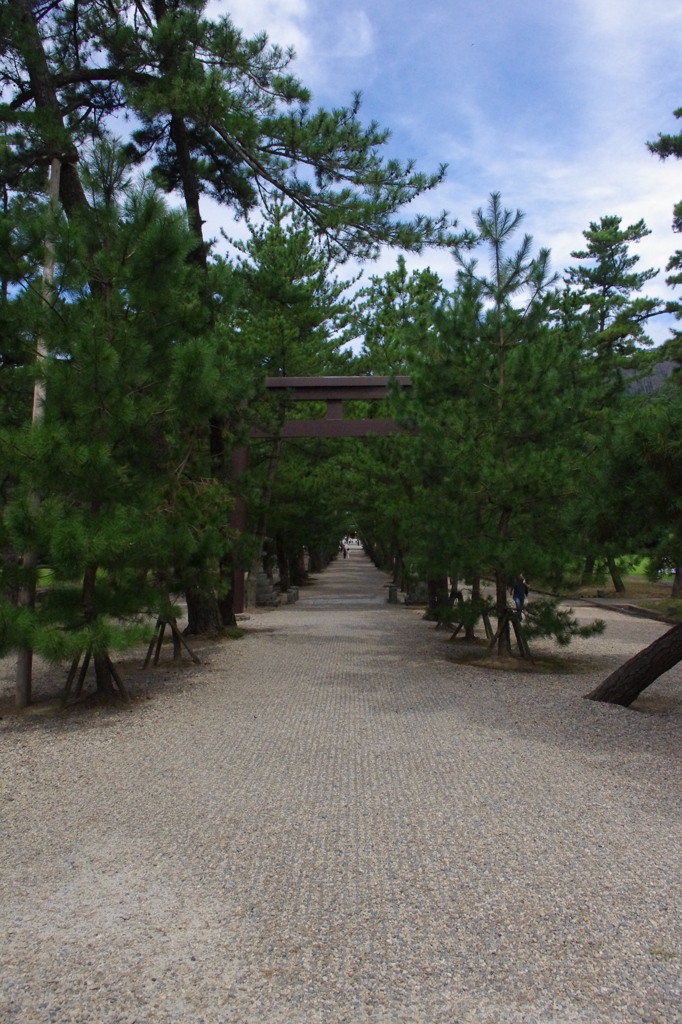 幾年往来の路