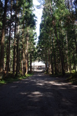 IMGP2765