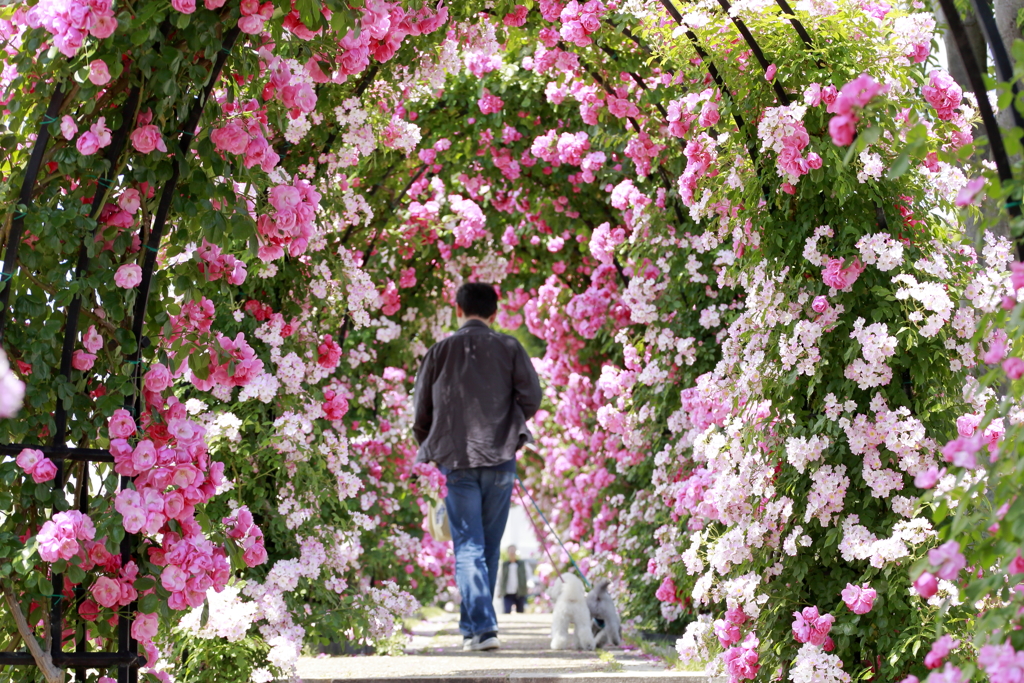 Promenade